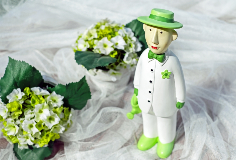 vitrine-SOSPEL-min_man-person-flower-green-toy-fig-546529-pxhere.com